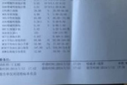 亲子鉴定费用解析,价格构成与影响因素详解