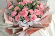 康乃馨价格解析,一束康乃馨多少钱及选购指南