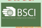 BSCI认证费用解析：全面了解企业社会责任认证成本构成