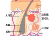 腋臭手术多少钱,费用构成与性价比全面解析