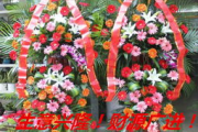 开业花篮多少钱,价格解析与选购指南