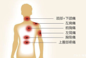 一颗心值多少钱,医学价值与情感意义的深度解析