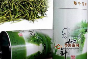 松针茶价格解析：品质决定价值，一斤多少钱才合理
