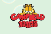 加菲猫价格全解析：从选购到饲养的成本考量