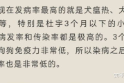 《我的世界》种子大全-探索无限可能的世界