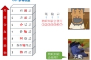 《QQ飞车》B车性能对比与选择指南