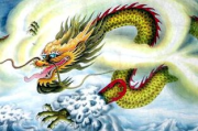 魔兽世界幽灵虎,神秘宠物获取与培养指南